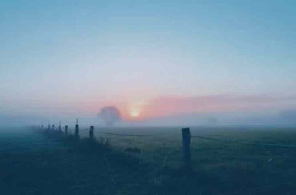 This image has an empty alt attribute; its file name is Image_20250124140324.jpg